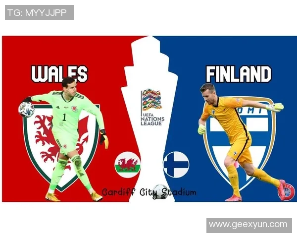 威尔士与芬兰比赛分析及推荐策略分享